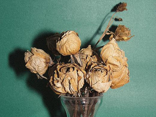 干花的美