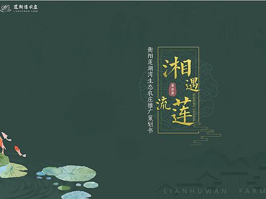 湘遇、流莲——莲湖湾生态农庄推广策划书