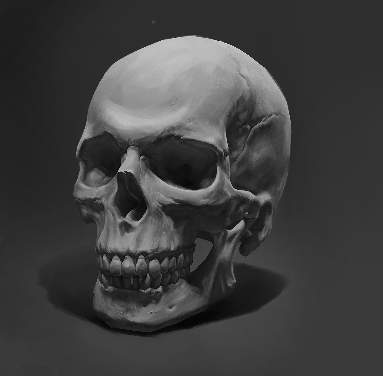 骷髅头骨素描手绘习作