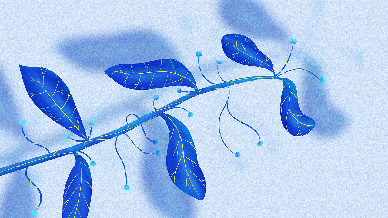 春天里的花花呀