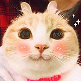 高煜莹的头像