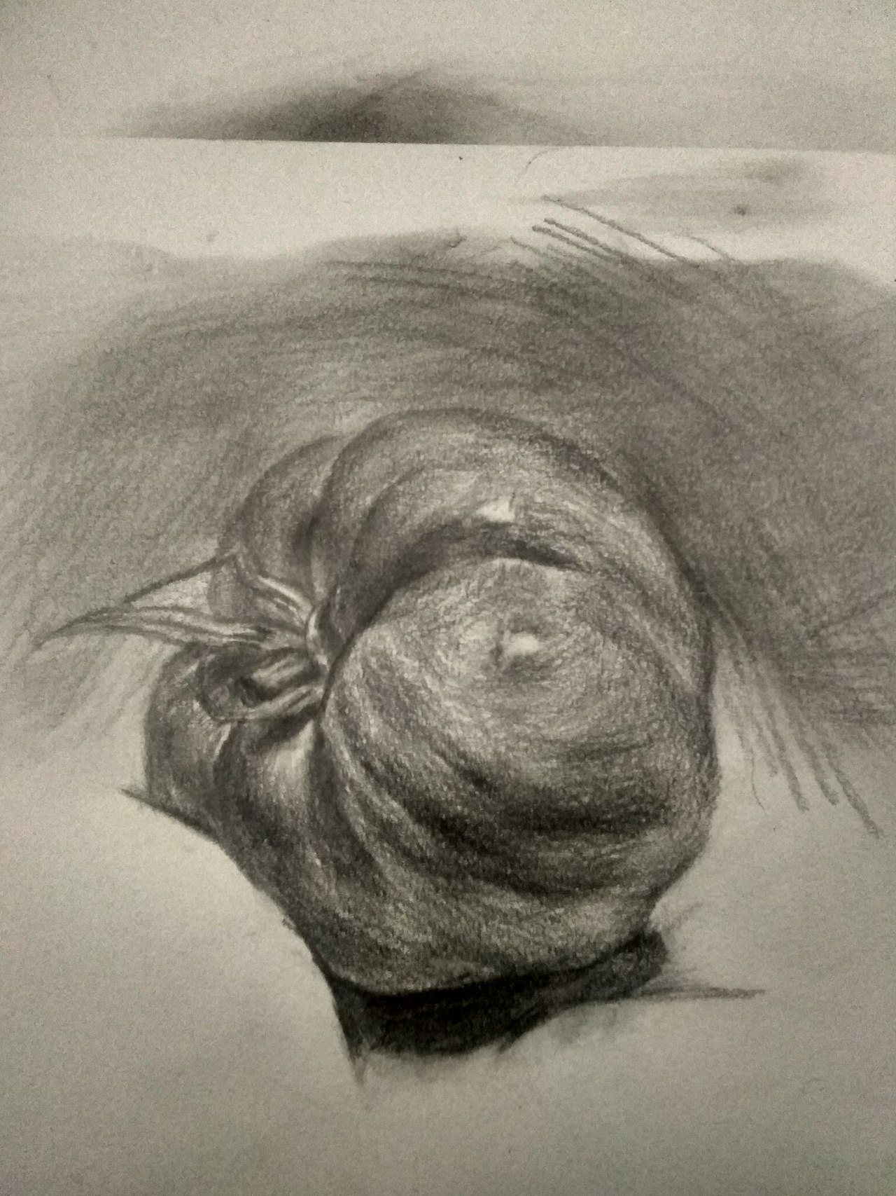 西红柿（图ZMjAwNTcxNzUy） - 绘画 - 站酷设计师卡哇伊x原创素材 - 站酷ZCOOL