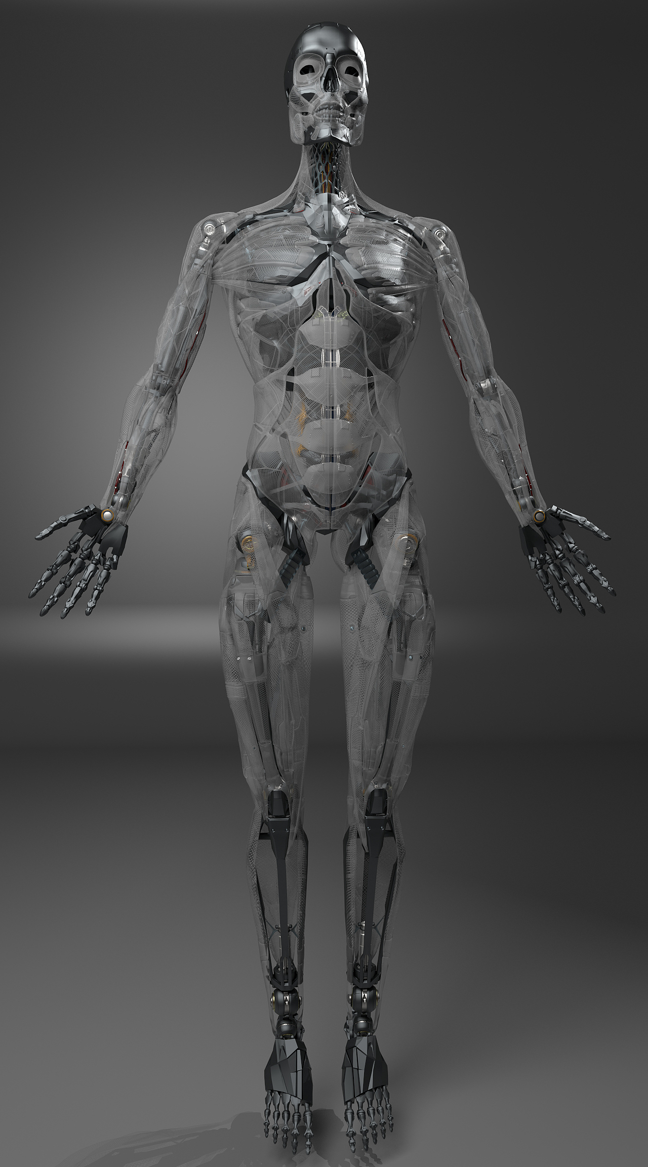 男性硅胶机器人