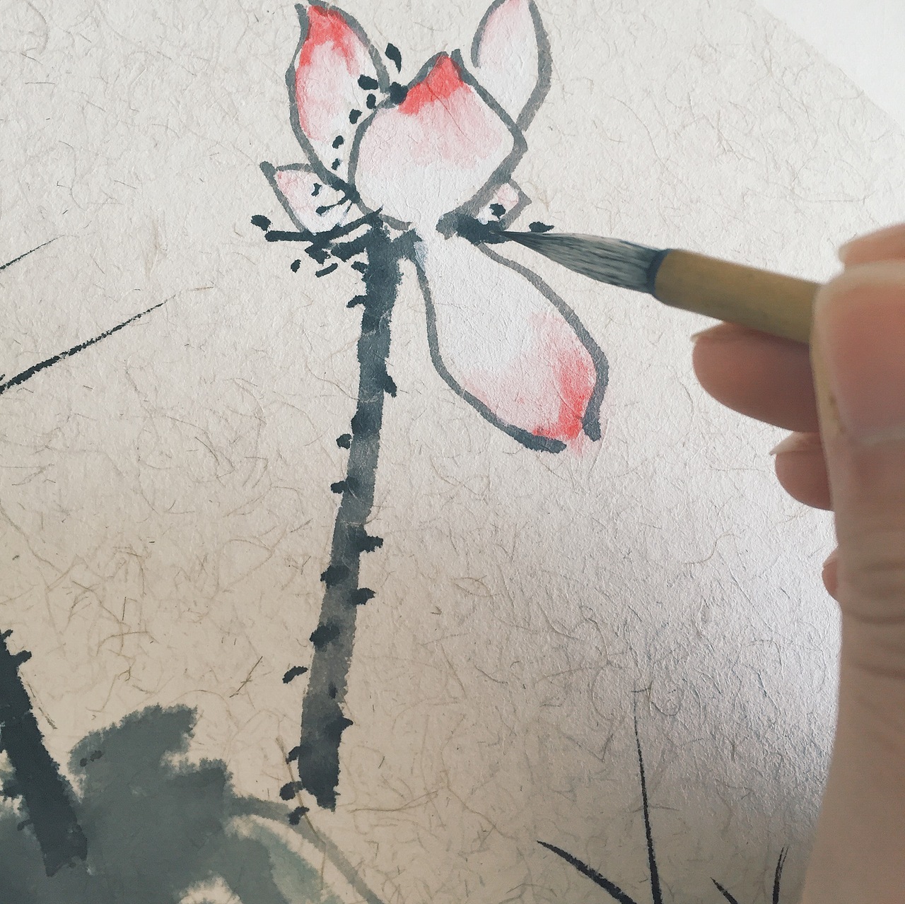 || 国画 || 花鸟 · 斗方小品（图ZNDg2MTA4OTI=） - 绘画 - 站酷设计师鲲Quinn原创素材 - 站酷ZCOOL
