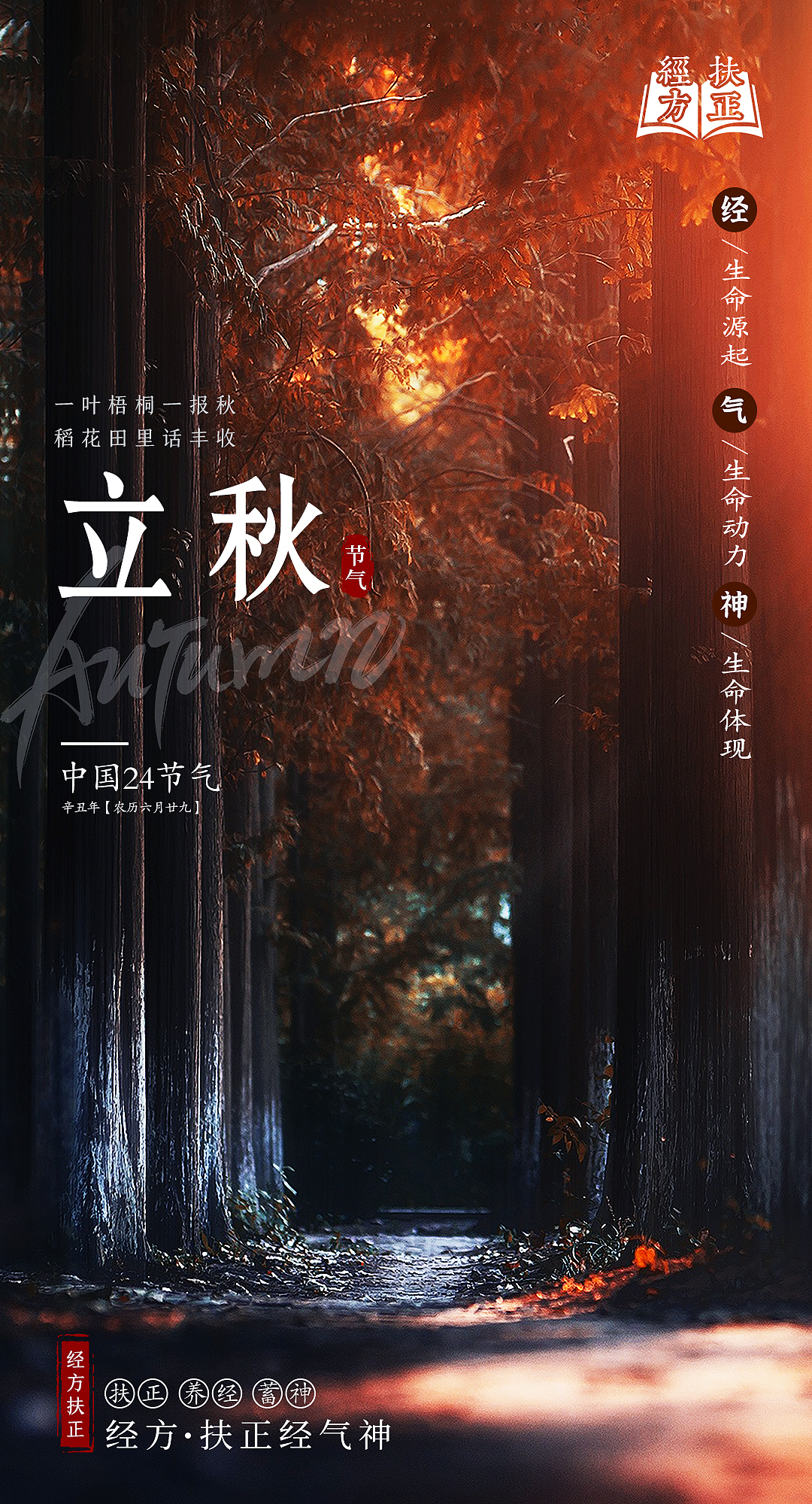 24节气——立秋（图ZMjY0Nzk3Mzcy） - 海报 - 站酷设计师王子墨WZM原创素材 - 站酷ZCOOL