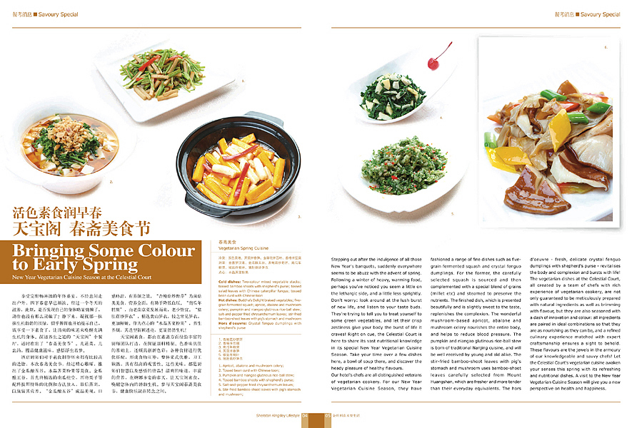 我的杂志设计5(图ZNTE2MTc5Ng==) - 其他平面 - 站酷设计师shiqi原创素材 - 站酷ZCOOL