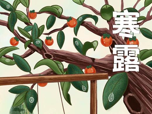 寒露（个人主页-ZNDg4MjE5MTI=） - 海报 - 站酷设计师c泽明原创素材 - 站酷ZCOOL