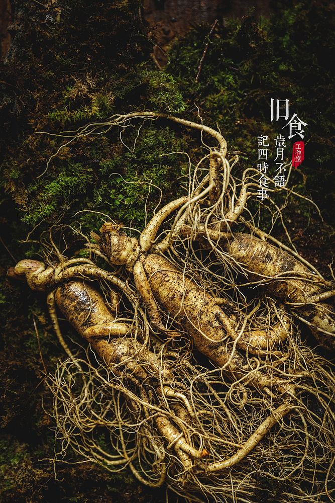 一组新鲜人参（图ZMjI3NzQ0NTI4） - 产品摄影 - 站酷设计师旧食原创素材 - 站酷ZCOOL
