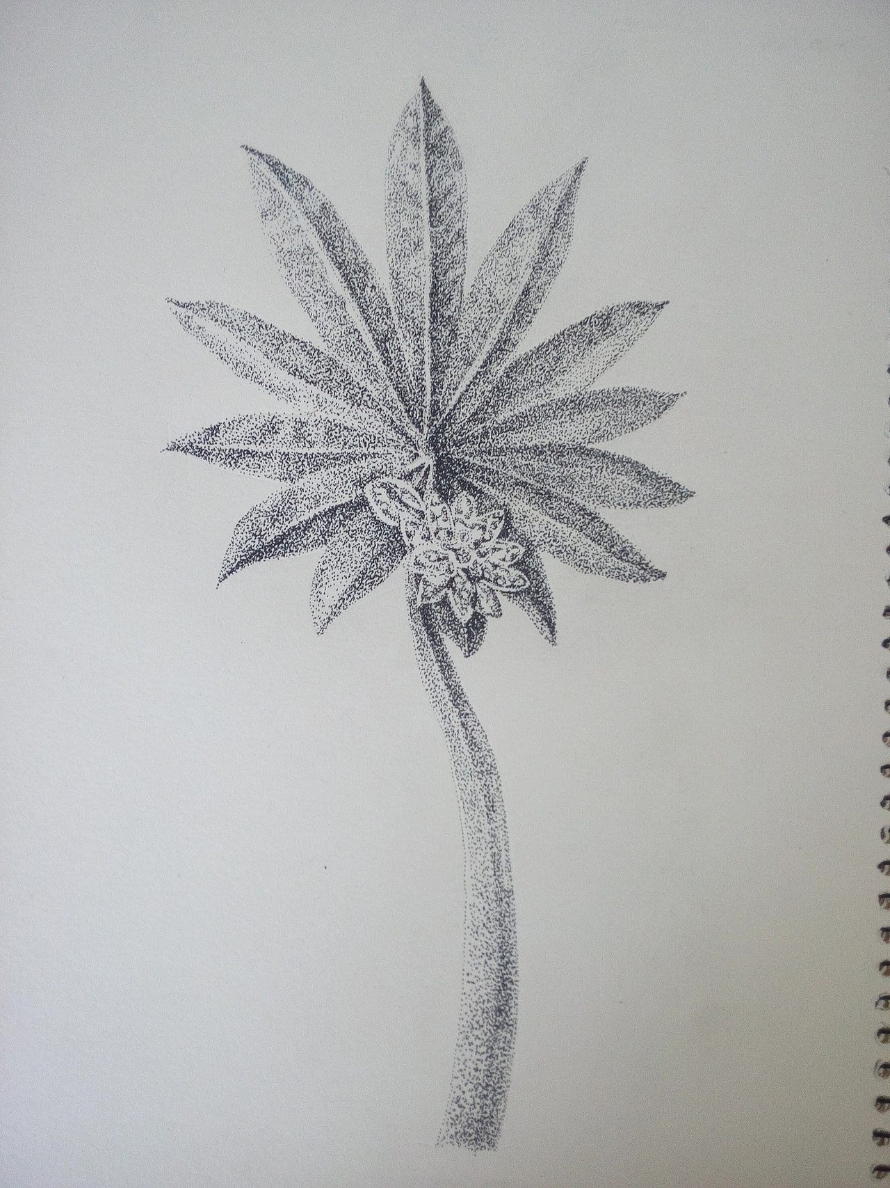 我点我点我点点点