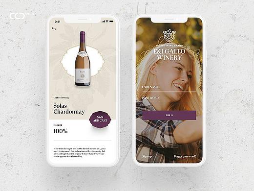 gallo website and app concept deisgn