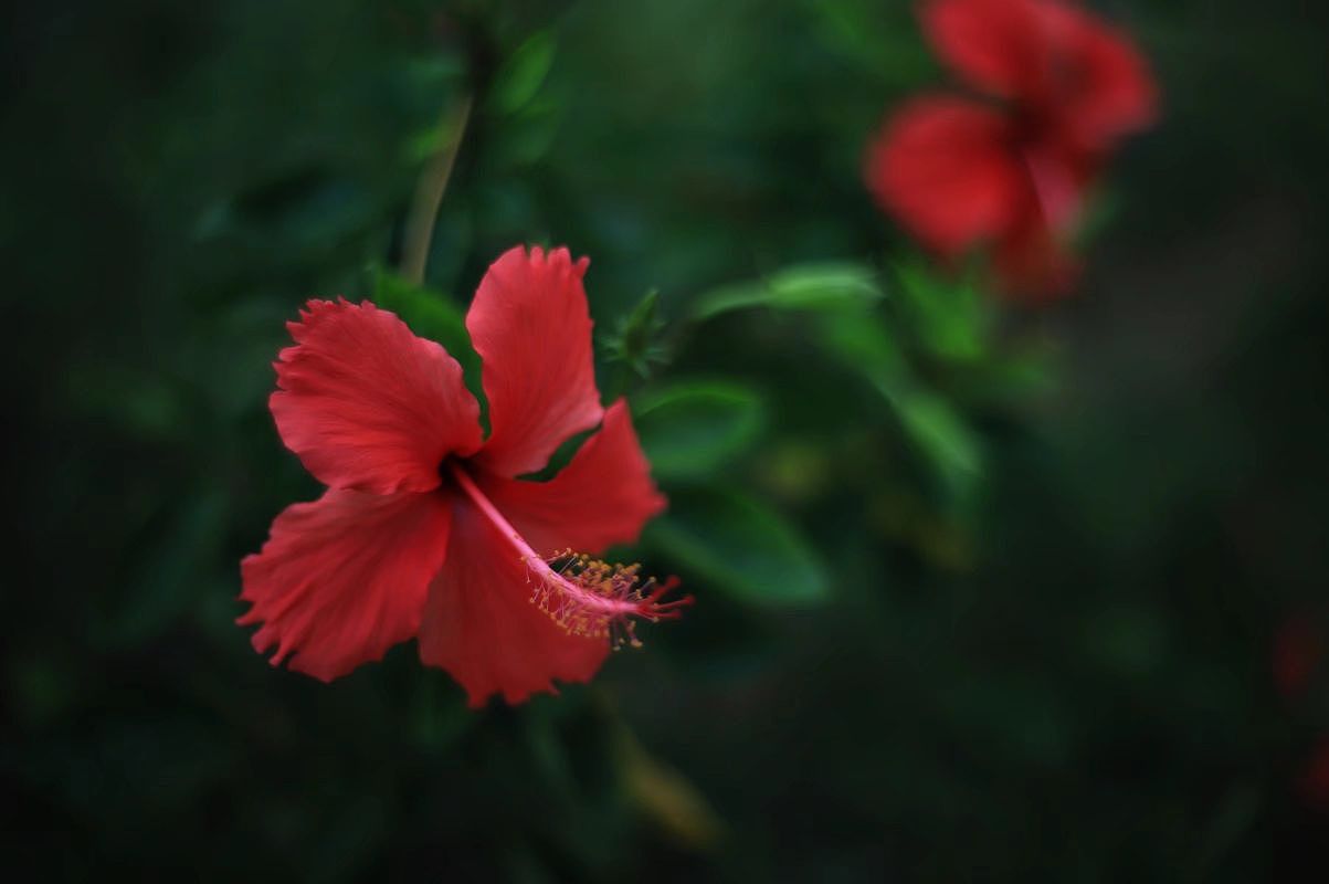 作品集（图ZMzQ5MTg0OTI0） - 风光摄影 - 站酷设计师嘎嘎嘎H原创素材 - 站酷ZCOOL