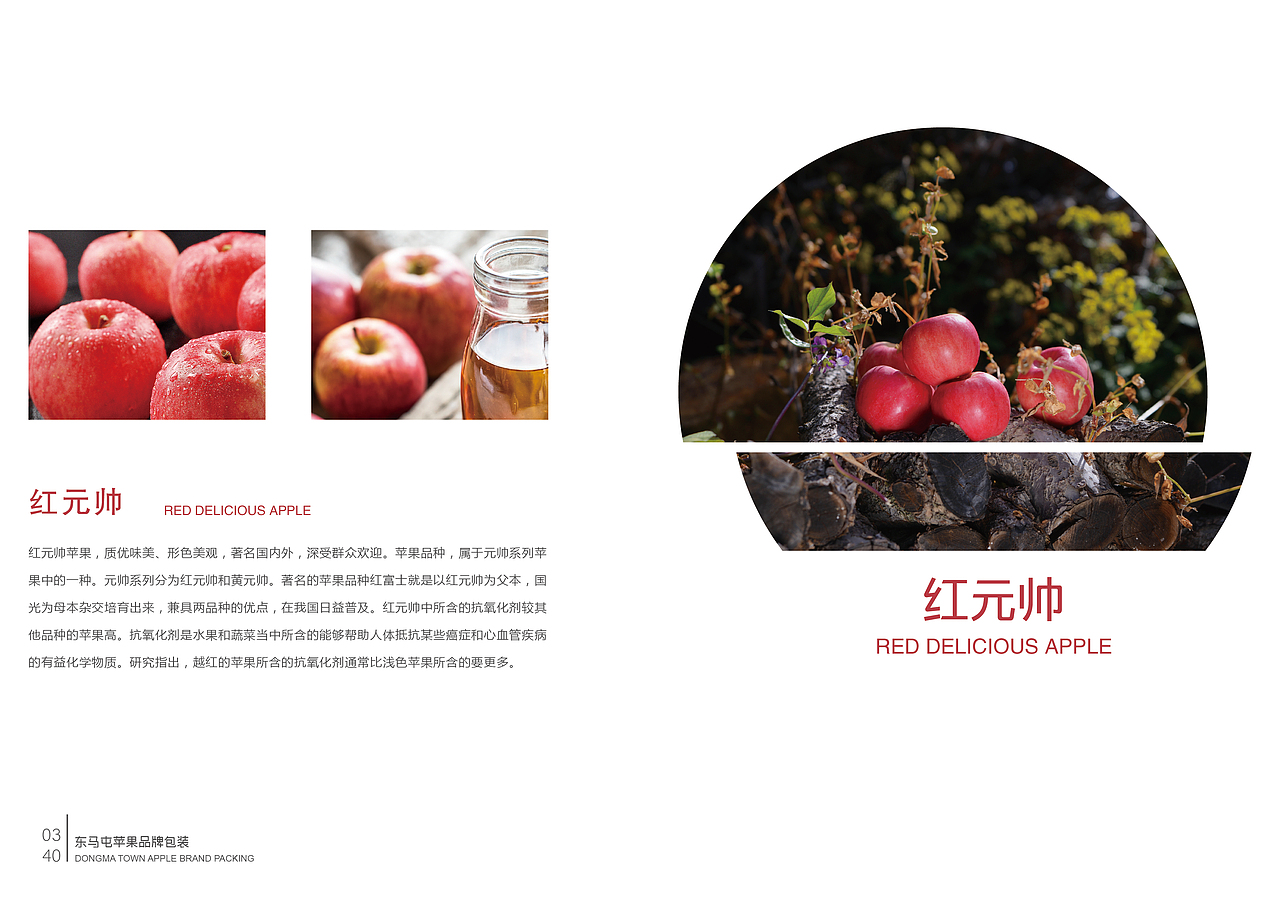 毕业手册（图ZMTY4OTgwMzky） - 书籍/画册 - 站酷设计师zln张丽娜原创素材 - 站酷ZCOOL