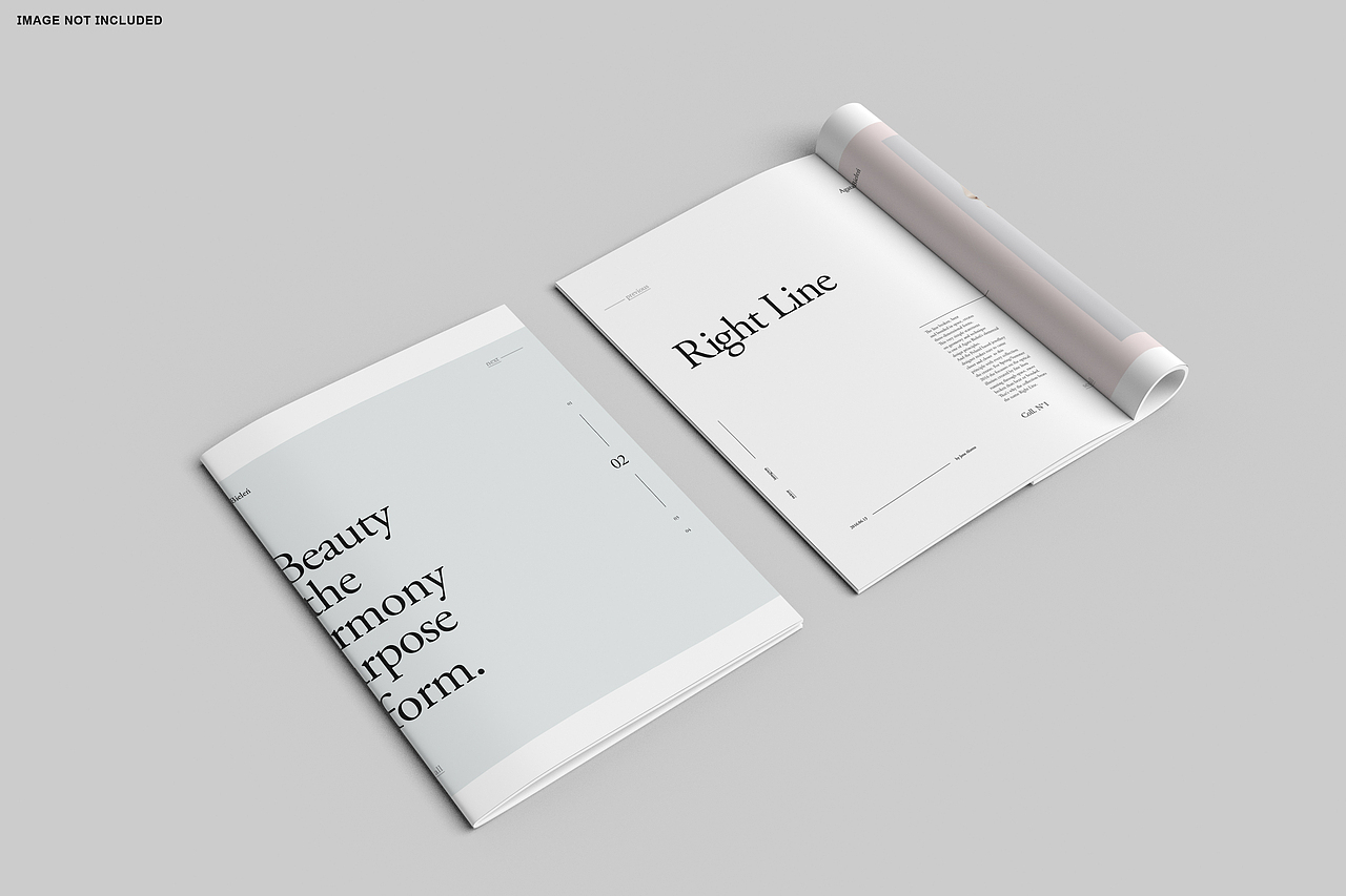 书籍画册样机系列(十)