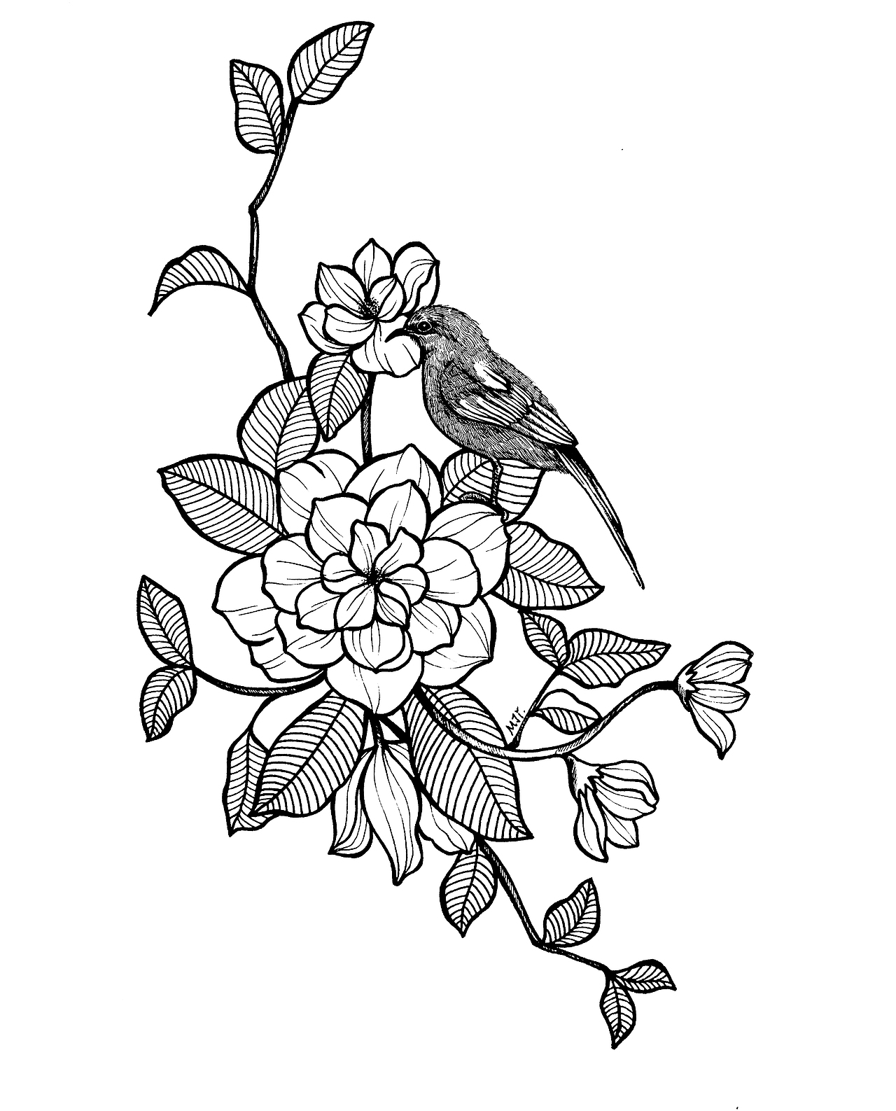 简笔画手绘线描插画（图ZMTI3OTI2MTAw） - 创作习作 - 站酷设计师会画画的云原创素材 - 站酷ZCOOL