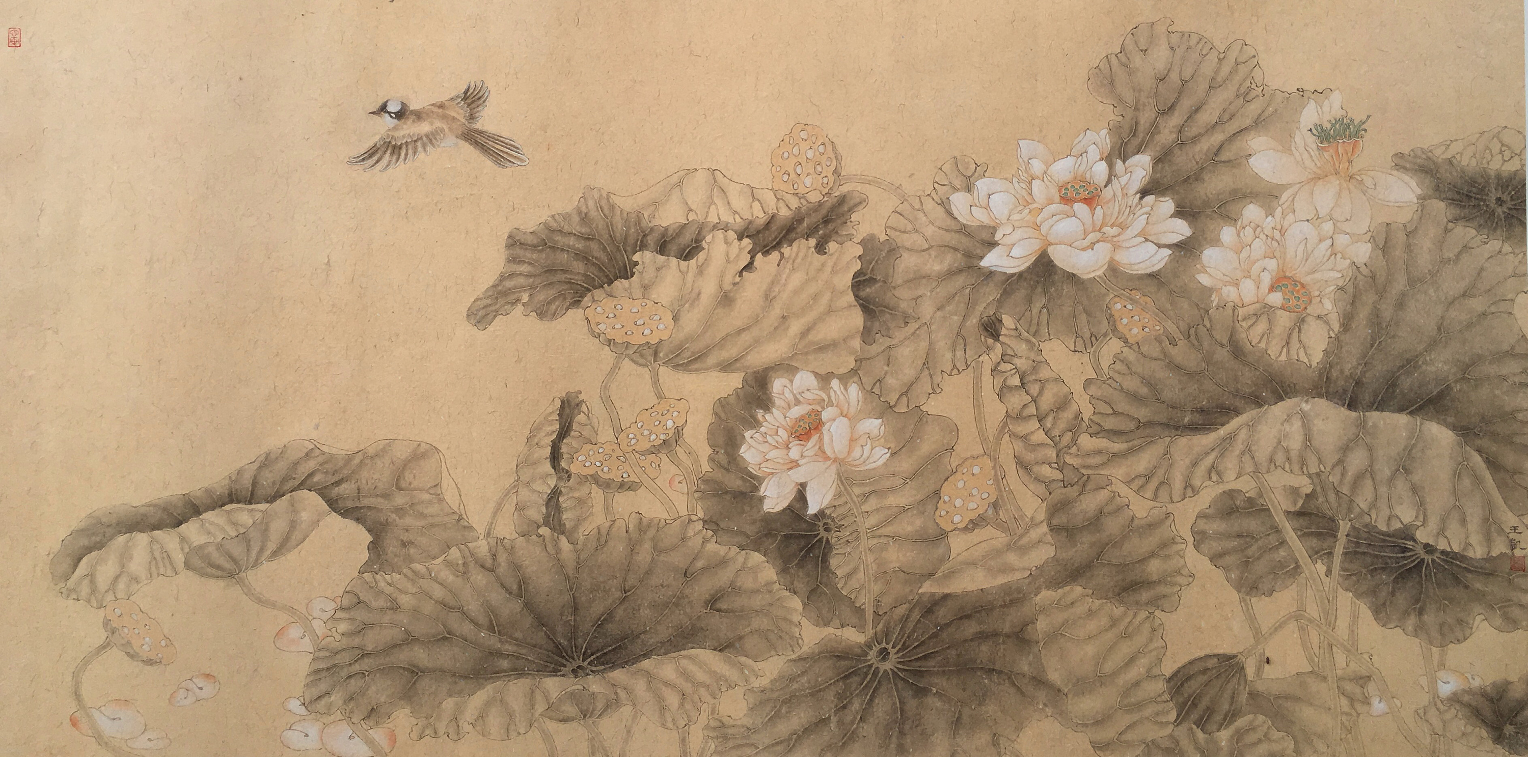 荷|纯艺术|国画|芷子 - 原创作品 - 站酷 (zcool)