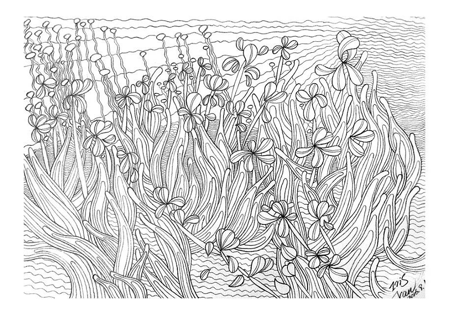 鳶尾花和麥田（圖ZMTU3Nzg5Nzg0） - 創(chuàng)作習(xí)作 - 站酷設(shè)計師DoraCmoon原創(chuàng)素材 - 站酷ZCOOL