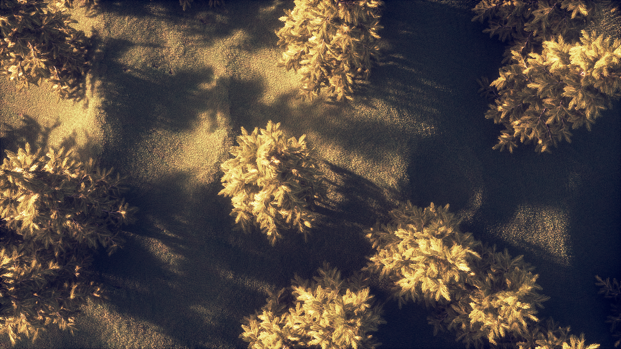 Plants, hope and light（图ZMjM2MjI2MTc2） - 场景 - 站酷设计师JIFEN_几分原创素材 - 站酷ZCOOL