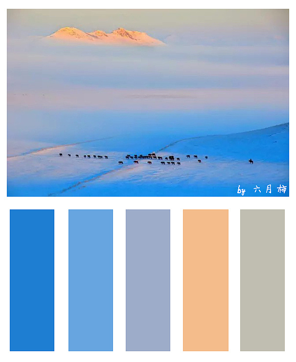 蒂芙尼蓝的配色法则图片