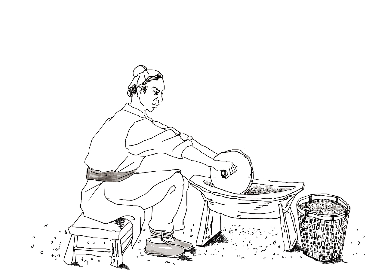 食养-祁州八药伴手礼包装设计（毕业设计）