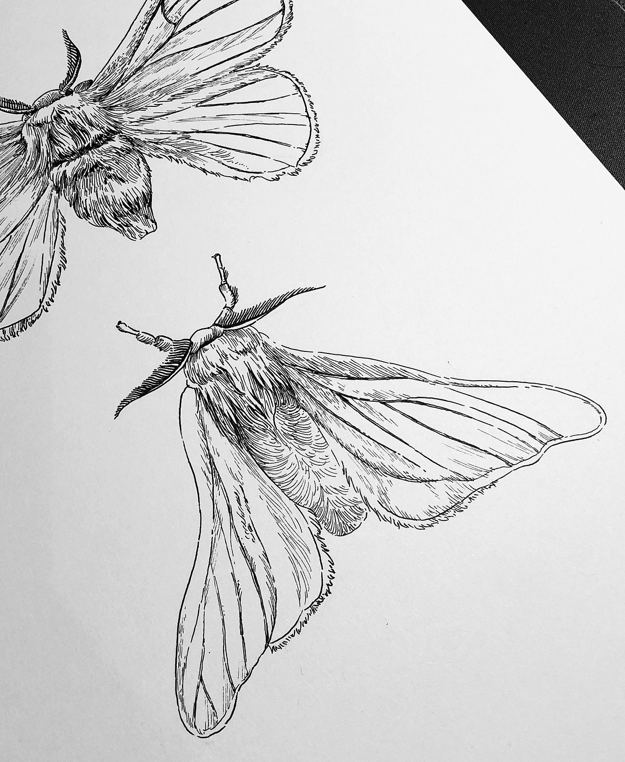 小满未满（图ZMTE1MzU3MDAw） - 其他平面 - 站酷设计师半毫米原创素材 - 站酷ZCOOL