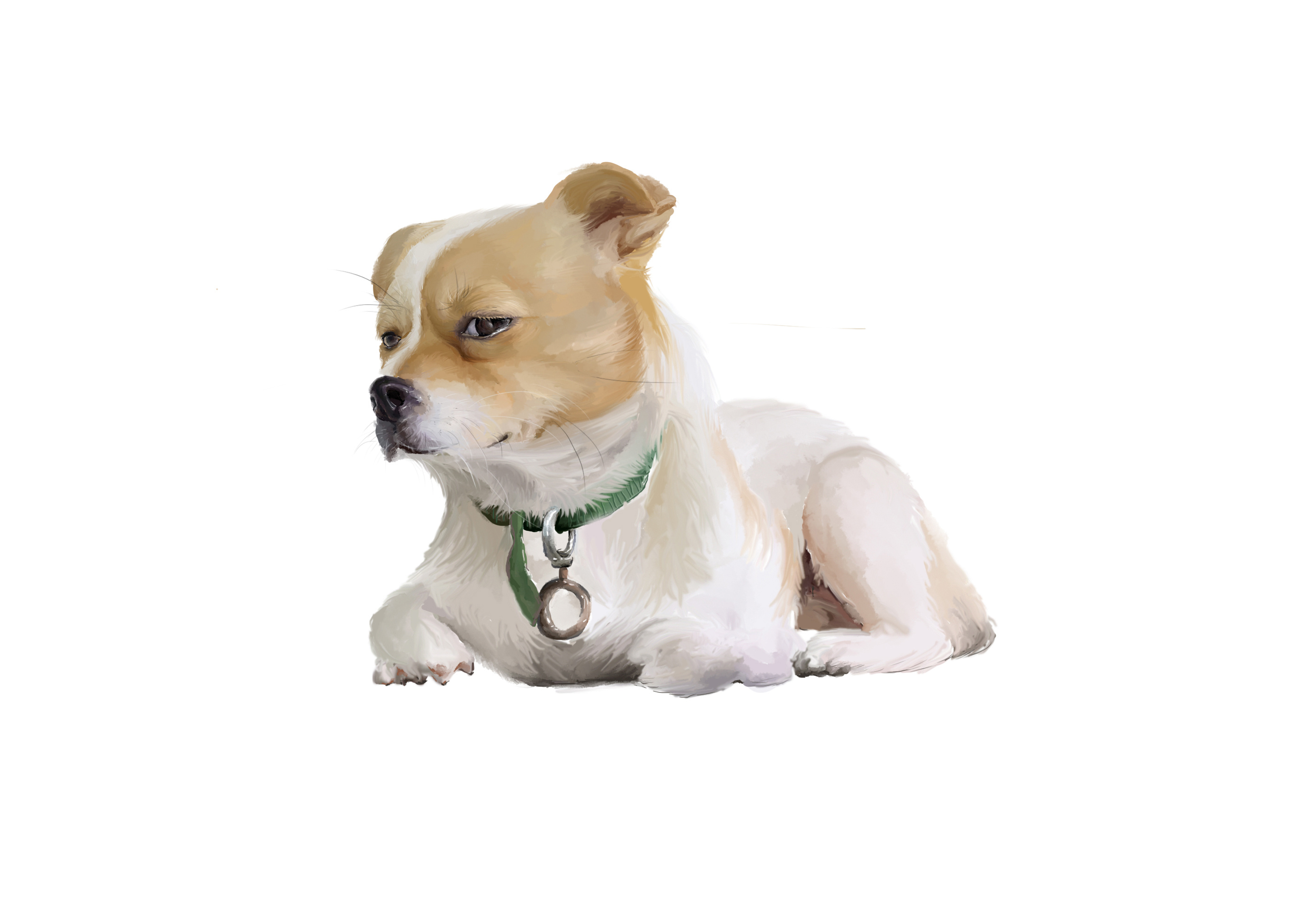 设计狗|插画|绘本|贾大邻 - 原创作品 - 站酷 (zcool)