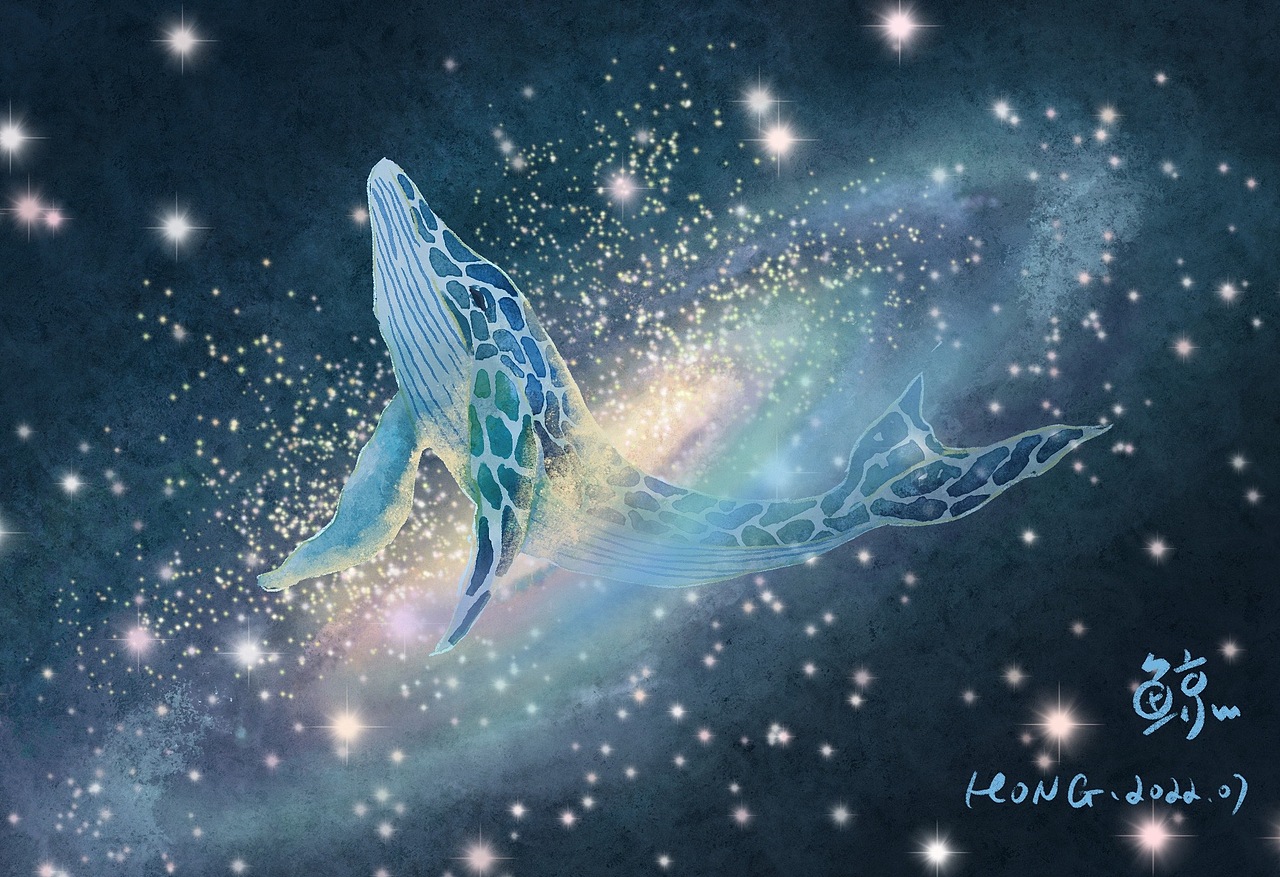 星辰大海中的一只鲸🐳