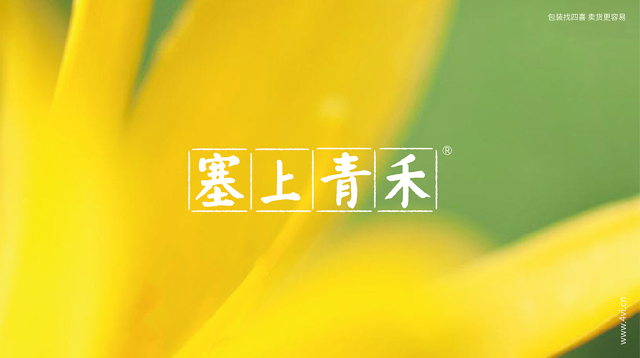 赛上青禾小米和黄花菜的包装设计-四喜包装设计(图ZMjI4MzIzOTYw) - 包装 - 站酷设计师四喜亮点包装策划原创素材 - 站酷ZCOOL