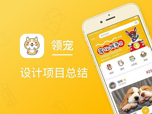 领宠项目总结2.0-花火圆桌