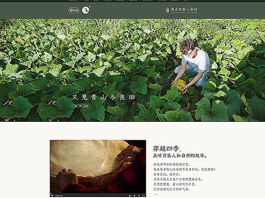 青品尚 农特产首页设计