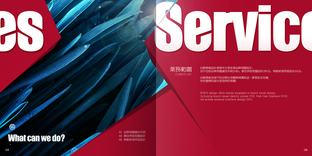 BORW.泊欧儒维'(VIS)(图ZNDAwNDc0NA==) - 品牌 - 站酷设计师woser原创素材 - 站酷ZCOOL