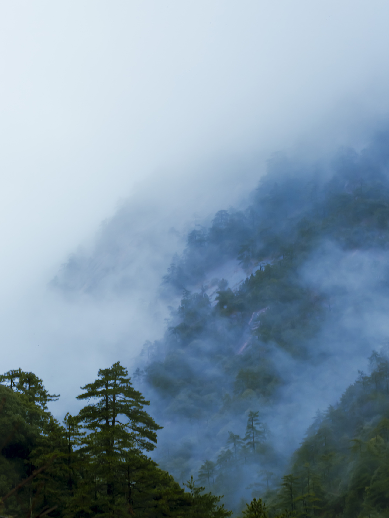 水墨黄山（图ZMjI1MDI5OTMy） - 风光摄影 - 站酷设计师峰景独好原创素材 - 站酷ZCOOL