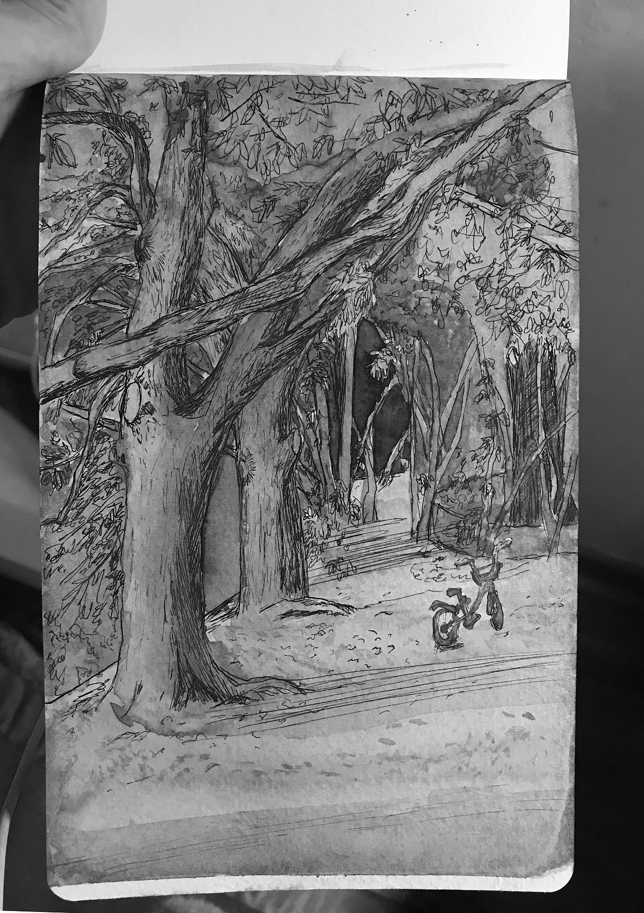 树林下的单车（图ZMTkzODExMTA0） - 创作习作 - 站酷设计师李Jarvis原创素材 - 站酷ZCOOL