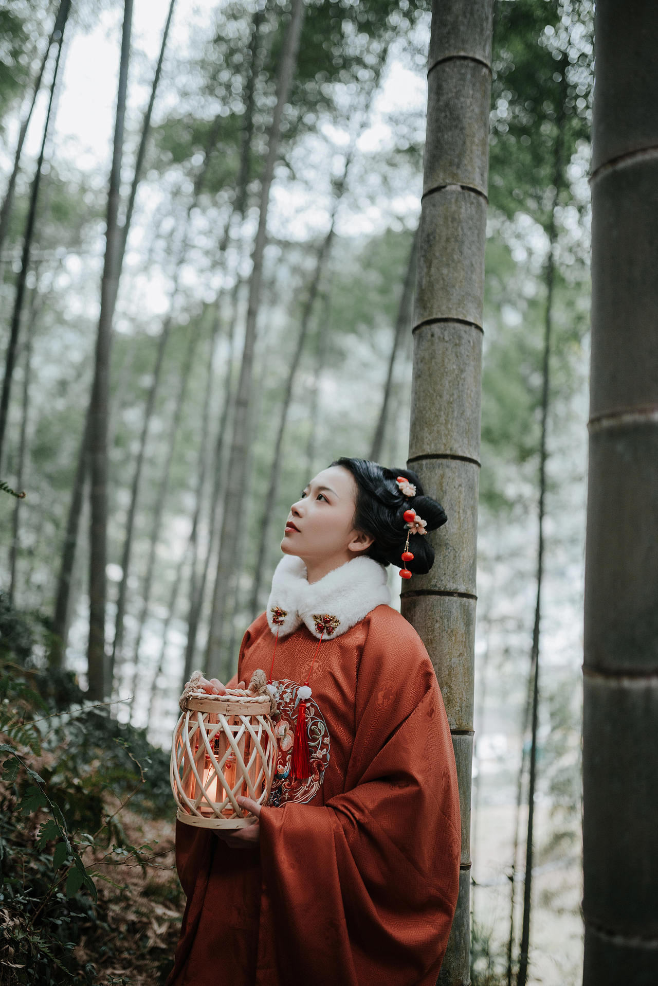 竹林|摄影|人像摄影|摄影方师傅_原创作品-站酷zcool