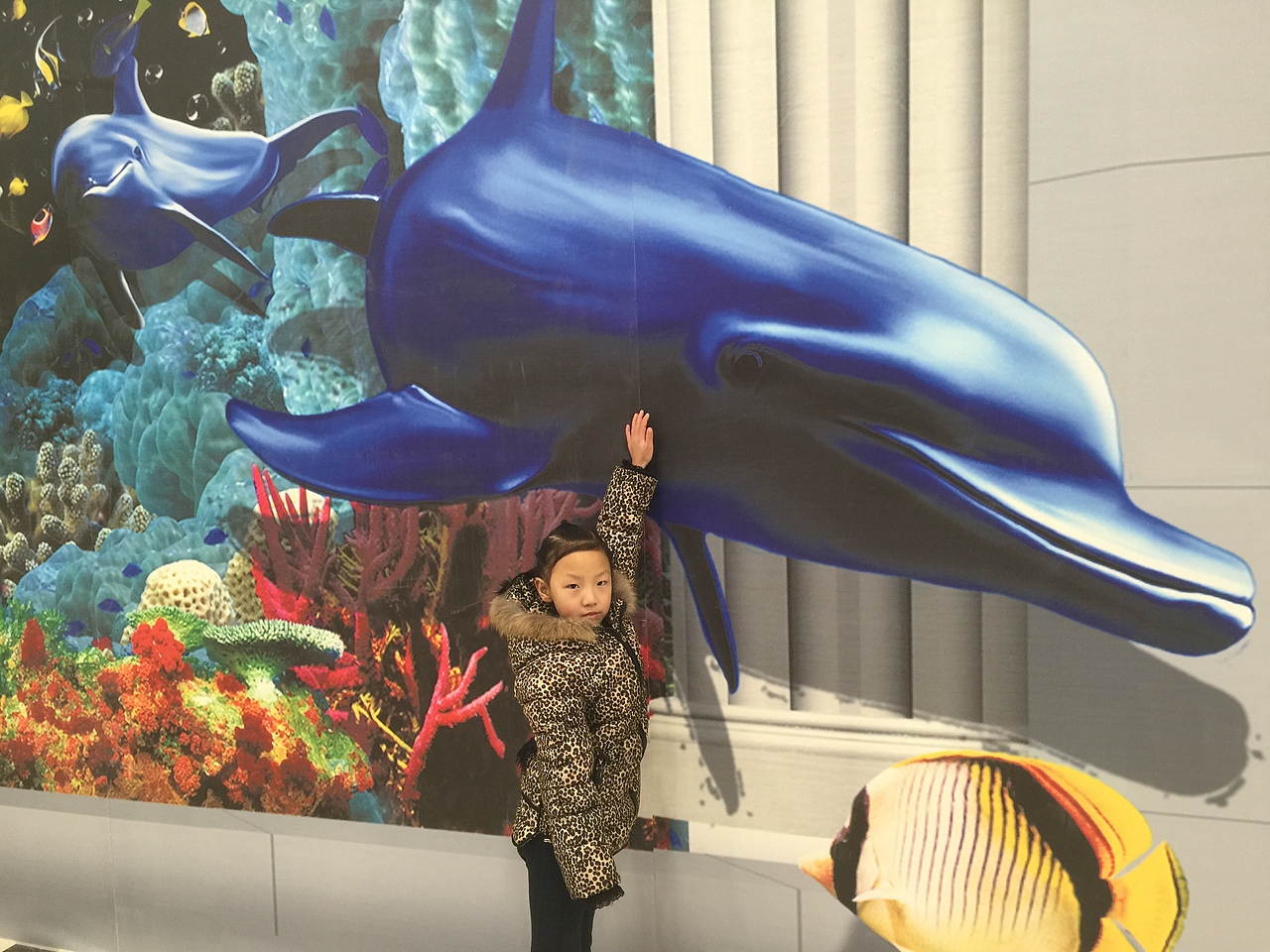 北京海洋馆主题原创经典创意3D画设计