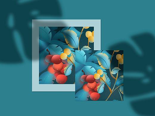系列植物插画作品