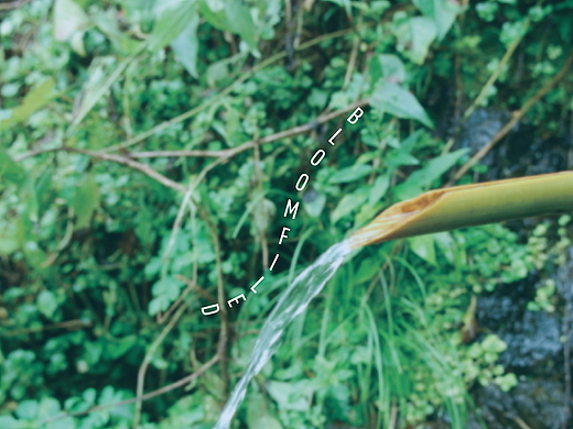 麒莲--鲜花衍生产品品牌整体形象
