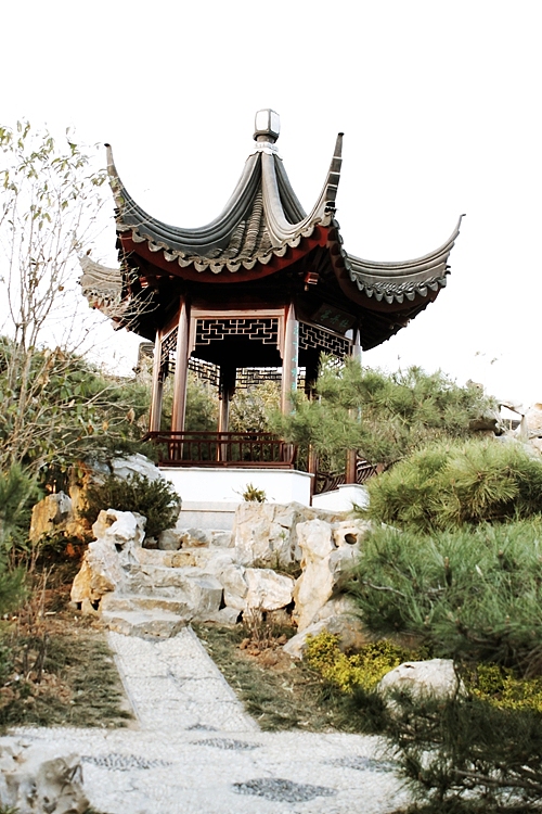 青岛世园会千桃园风景