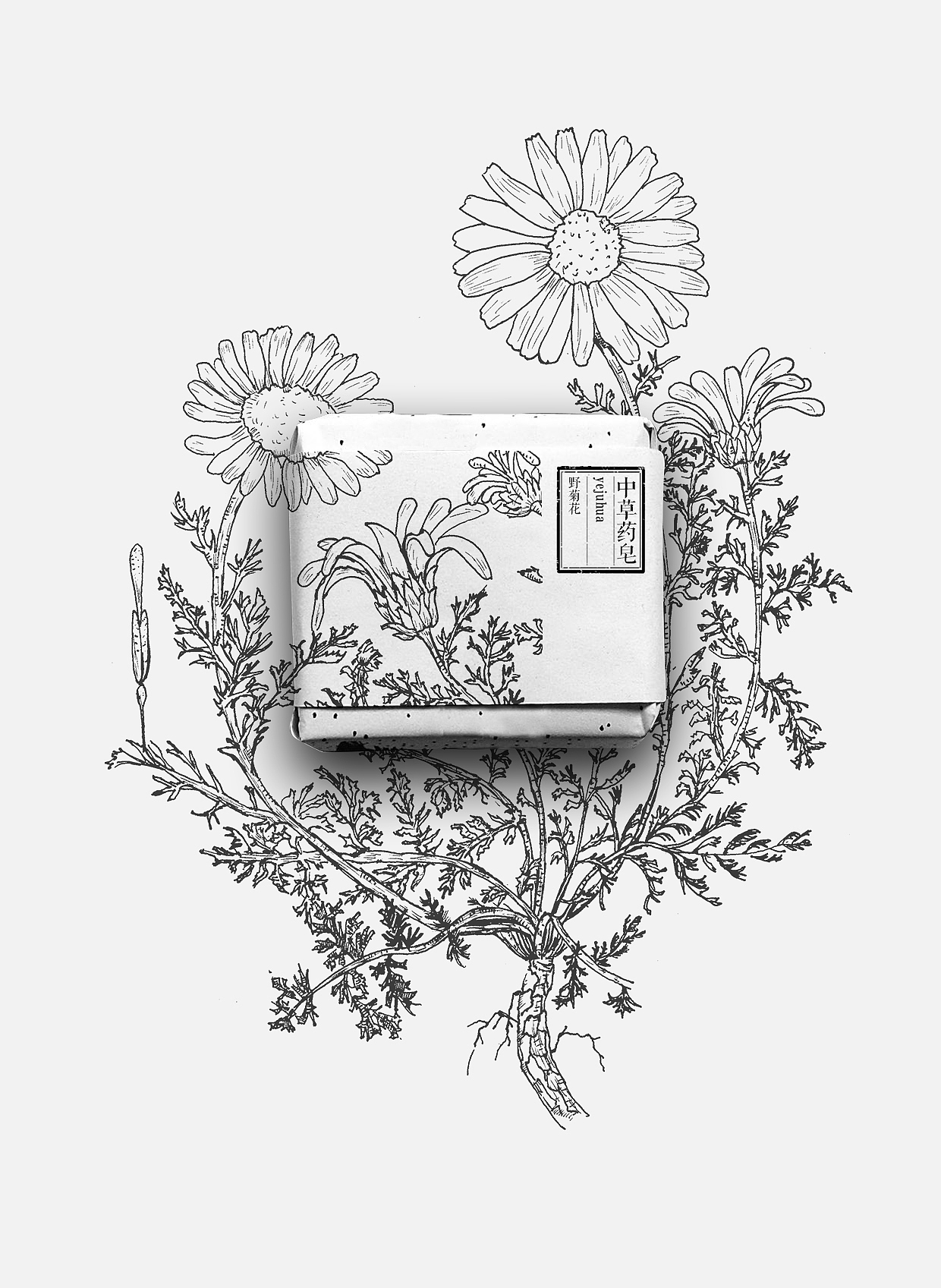 包装（图ZMTkxMjkwNTM2） - 包装 - 站酷设计师bobo似个疯纸原创素材 - 站酷ZCOOL