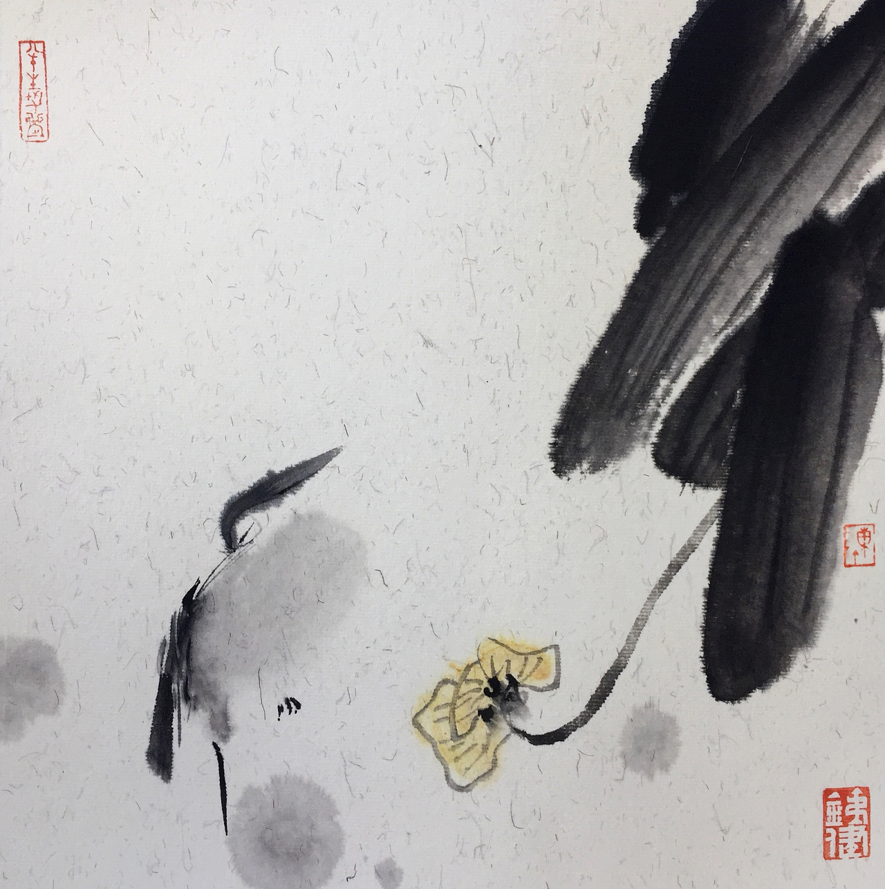 今日花开已一年.陈铁健国画写意水墨花鸟