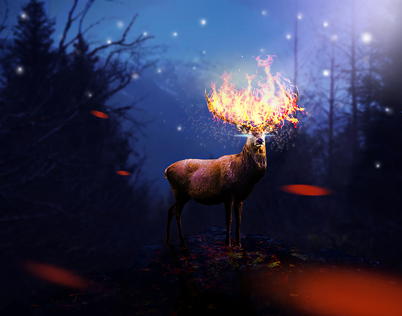 图像合成（图ZNjYwODcxODA=） - 其他平面 - 站酷设计师皮皮可的时光片段原创素材 - 站酷ZCOOL