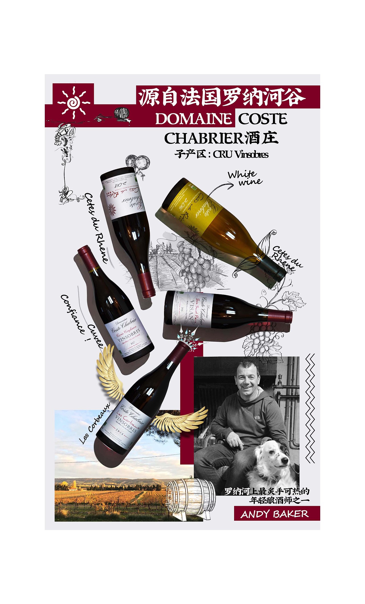 法国罗纳河谷domaine coste chabrier酒庄海报