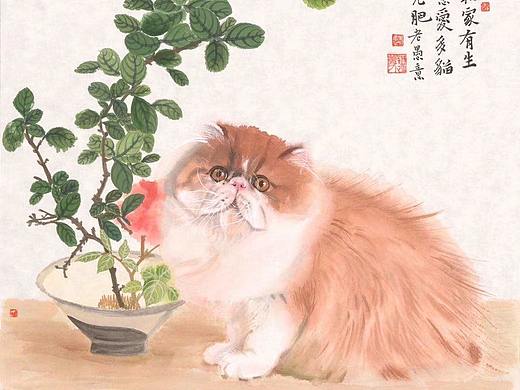 猫
