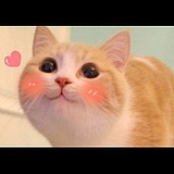 YeHady的头像