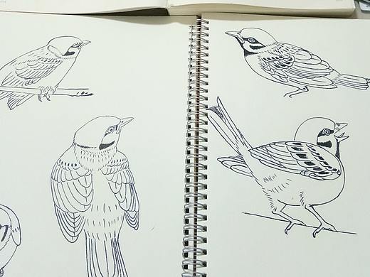 日常练习白描，希望大家多多指教，谢谢（个人主页-ZNDA3OTc2MDg=） - 绘画 - 站酷设计师你微笑时好美tcl原创素材 - 站酷ZCOOL