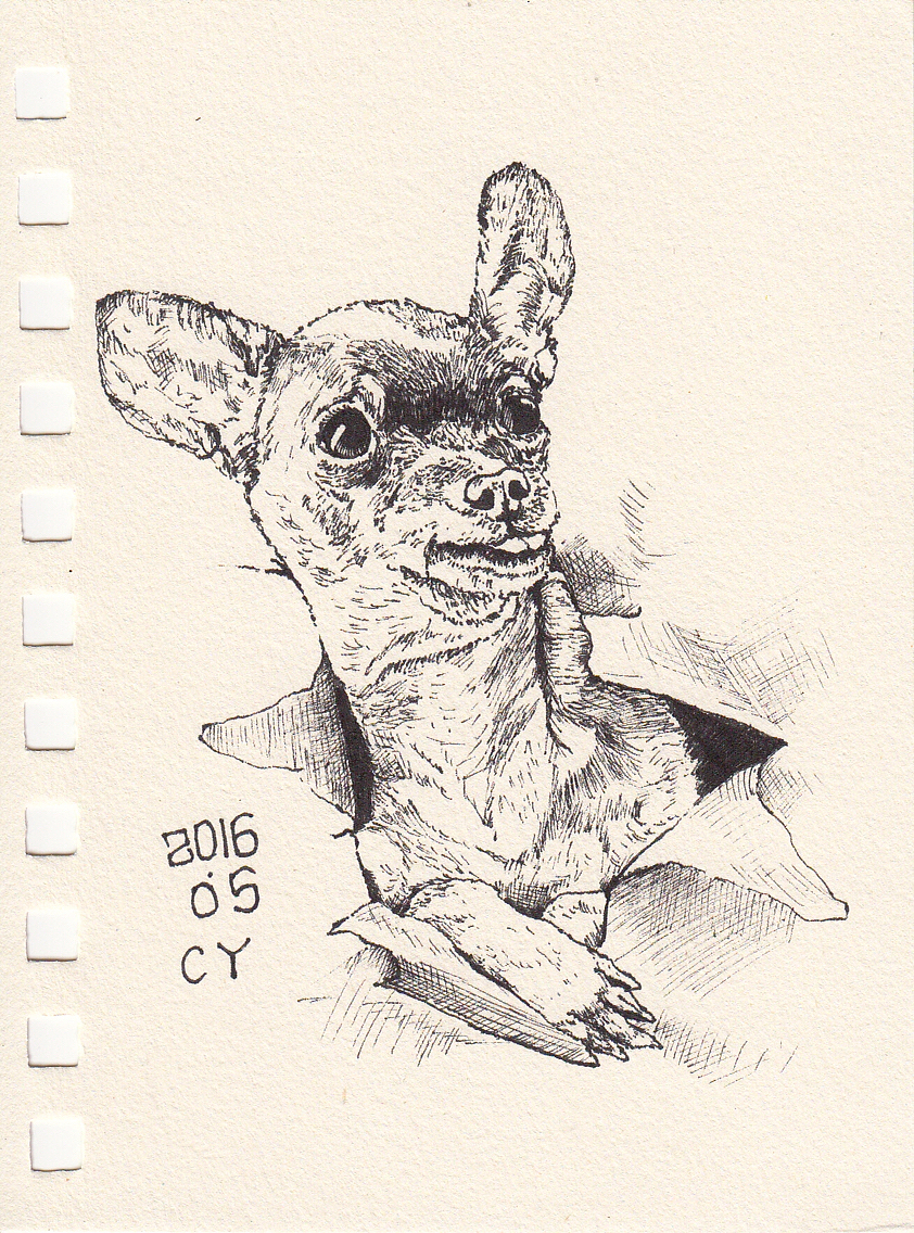 CY手绘之针管笔五月第一波