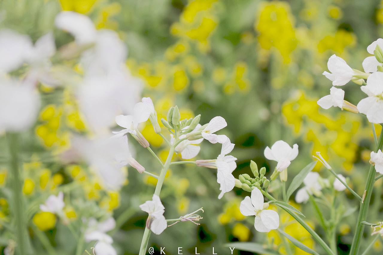 摄影（图ZMjE1OTAwNDk2） - 风光摄影 - 站酷设计师王可珂耶i原创素材 - 站酷ZCOOL