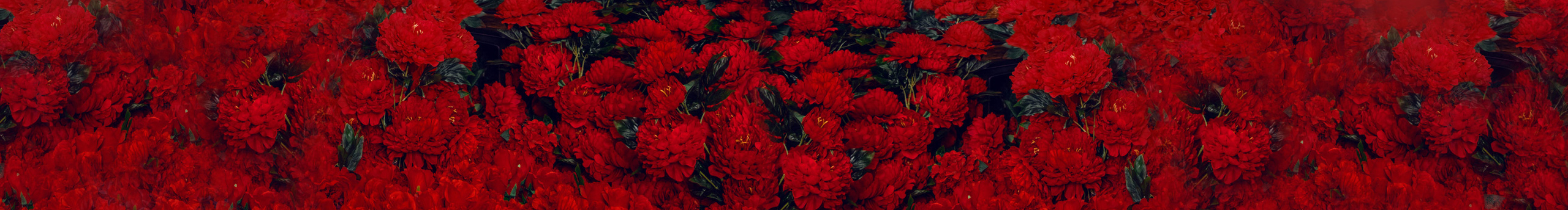 四月天的猫的个人主页（封面预览） - 主页封面设置 - 站酷设计师四月天的猫原创素材 - 站酷ZCOOL