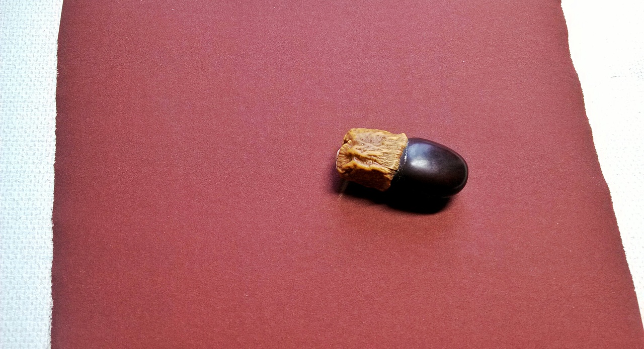 缅茄菩提子印章篆刻