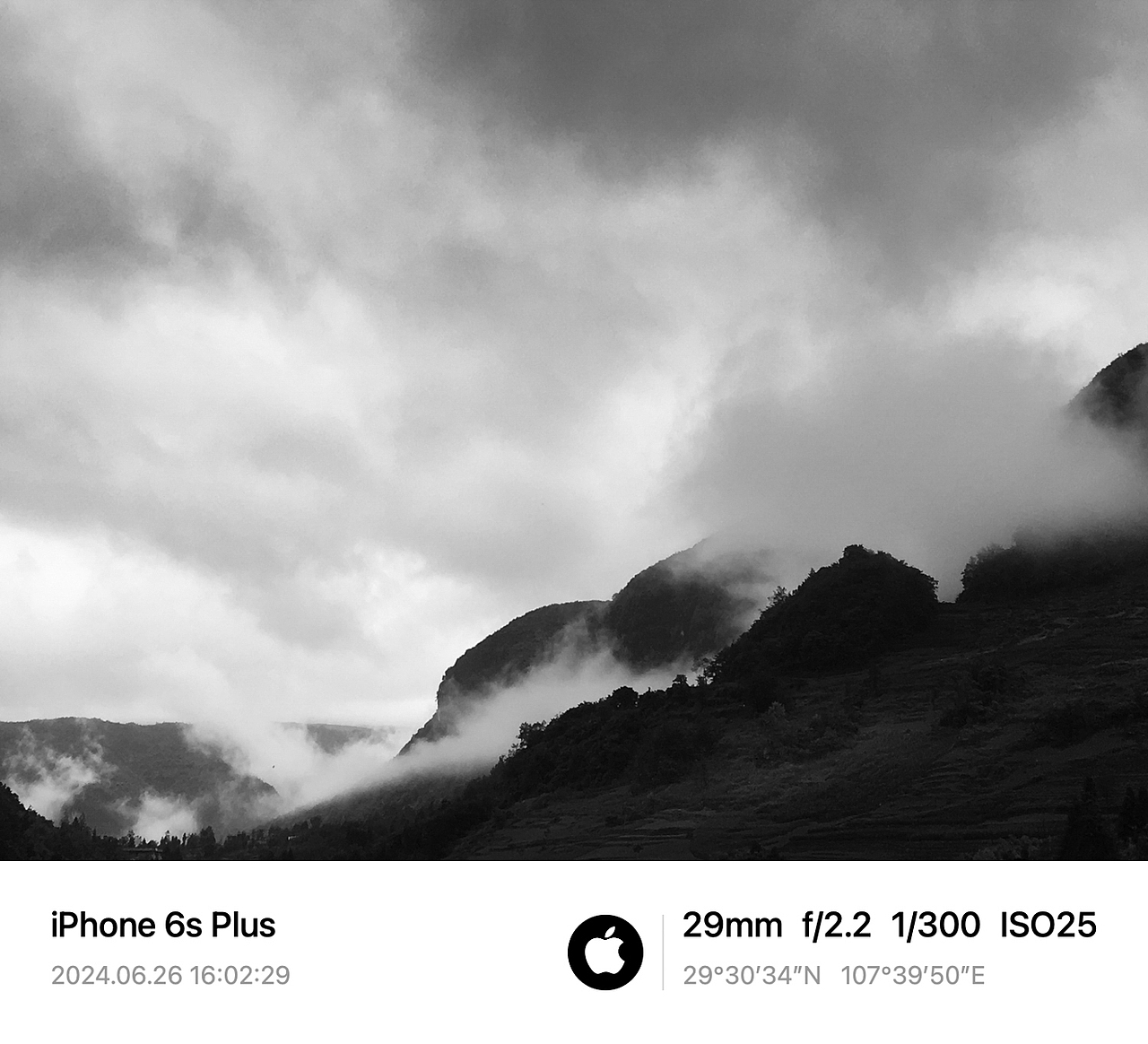 定格时光,留住美好,镜头里的生命印记