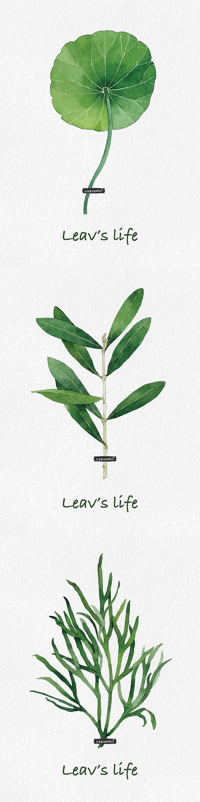Leaf's life（图ZMTQxMTkwNzA4） - 商业插画 - 站酷设计师玉米呀yumia原创素材 - 站酷ZCOOL
